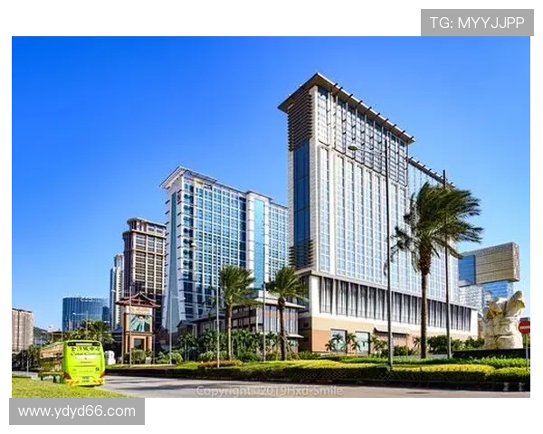 探索金沙城中心赌博的魅力与风险,如何理智投注?