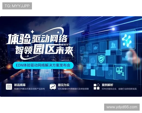 探索必赢网址官网入口的安全性与用户体验